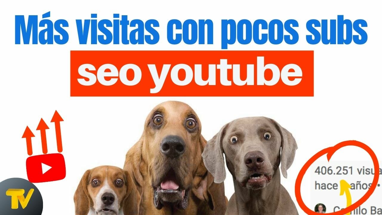 SEO en YouTube | Posicionar tus videos con pocos subscriptores